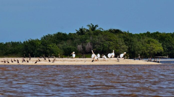 DZILAM DE BRAVO, YUCATÁN