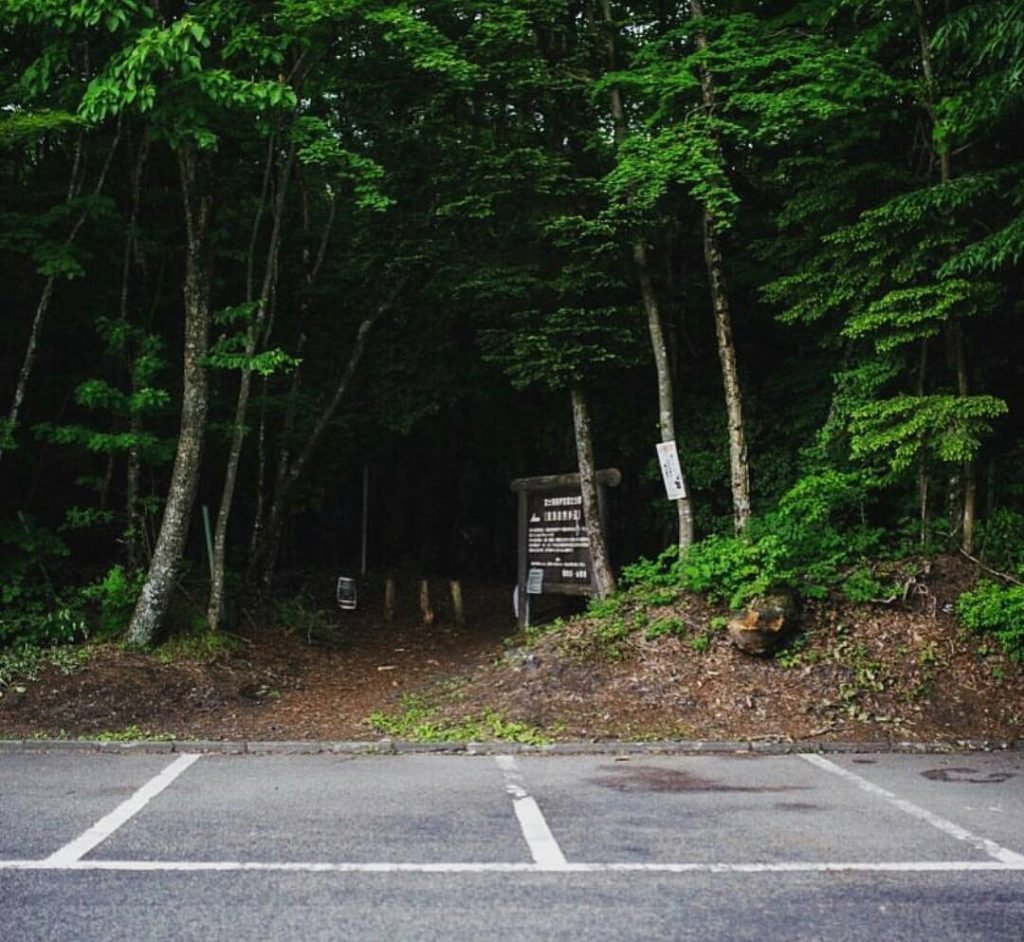 Bosques más grandes Aokigahara 