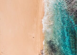 playa-canarias
