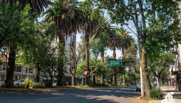 colonias en cdmx para vivir si no tienes coche