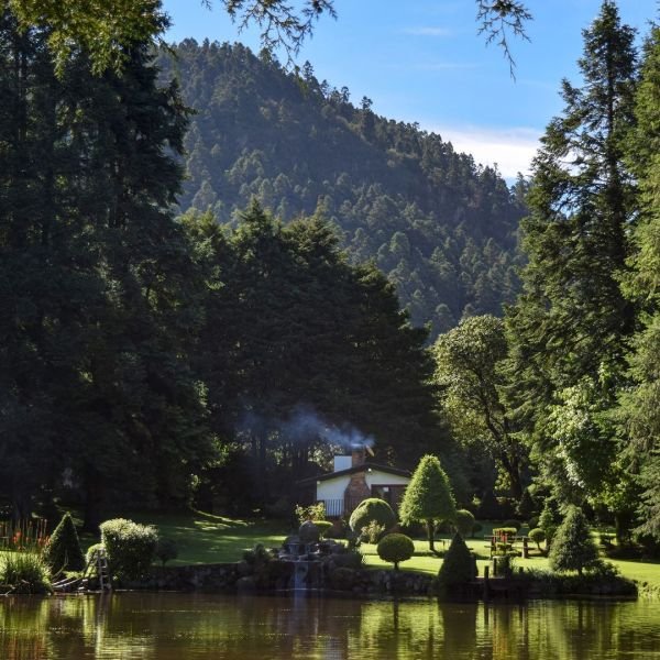 cabañas en el bosque