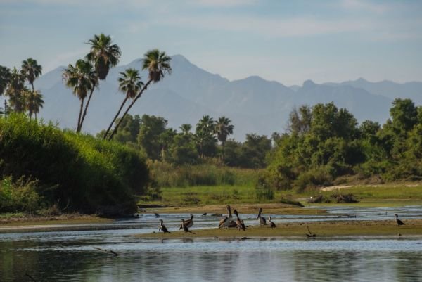 San José del Cabo