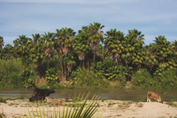 San José del Cabo